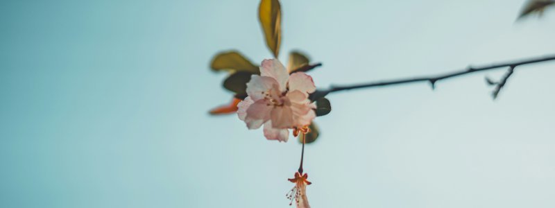 AI Dependency is Looming